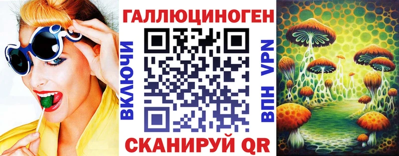 Купить где  Вилюйск  Псилоцибиновые грибы Psilocybe 